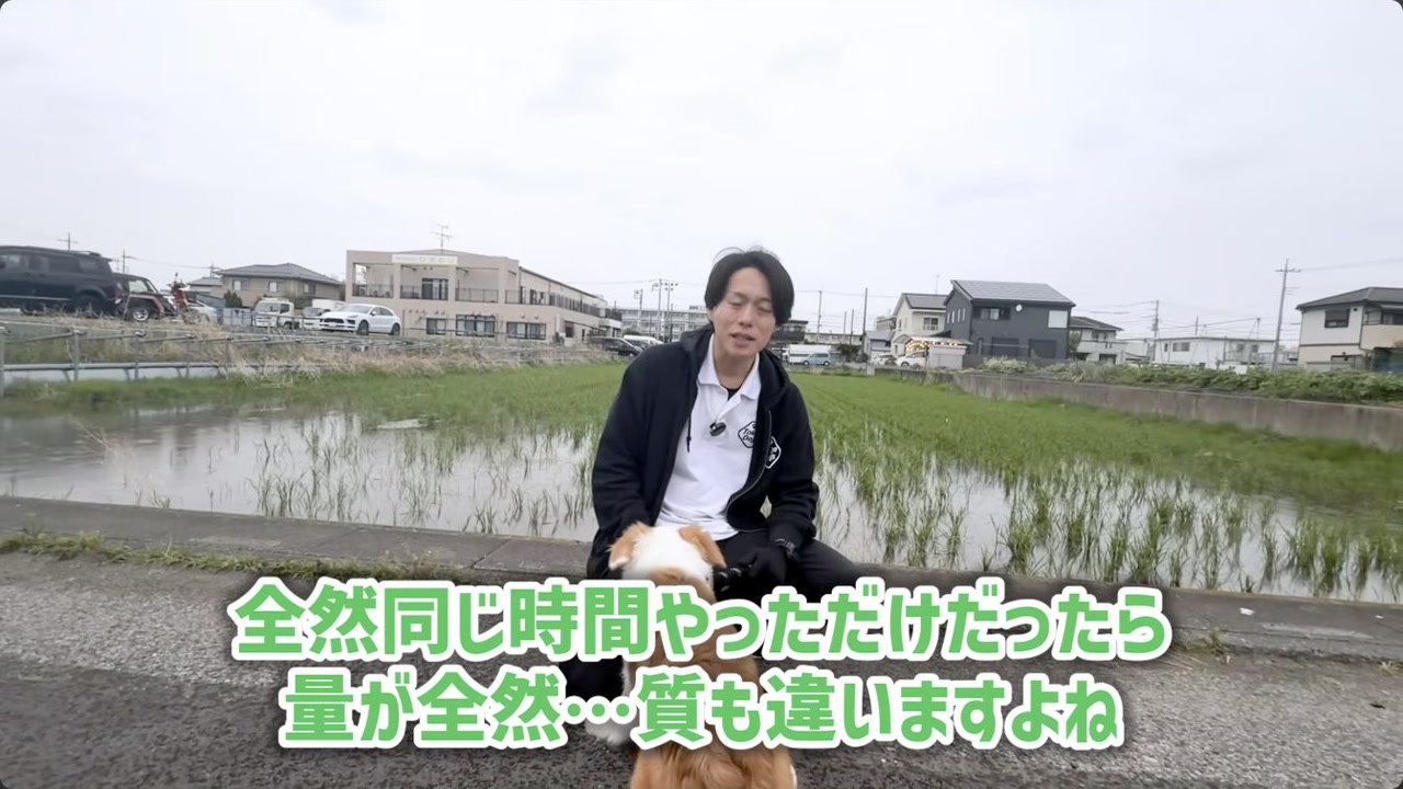 散歩と運動の役割の違いを犬と一緒に解説する松尾
