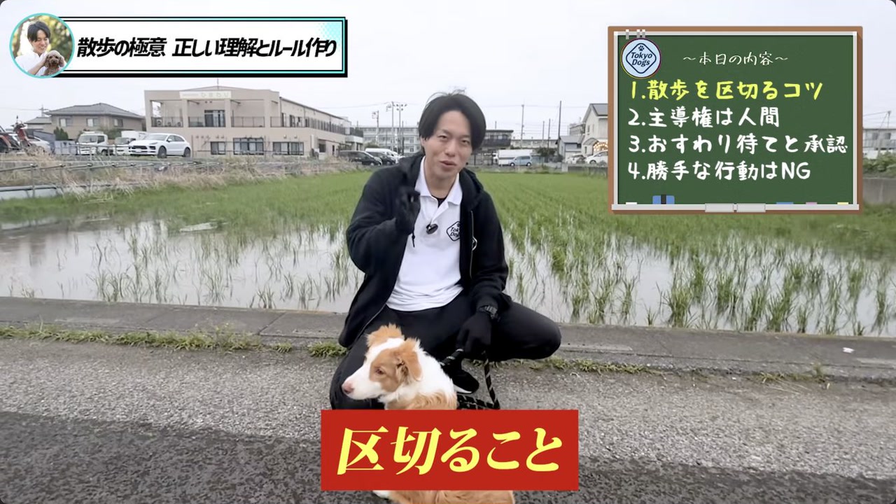 犬が人の近くを歩けた瞬間の認め方を話す場面