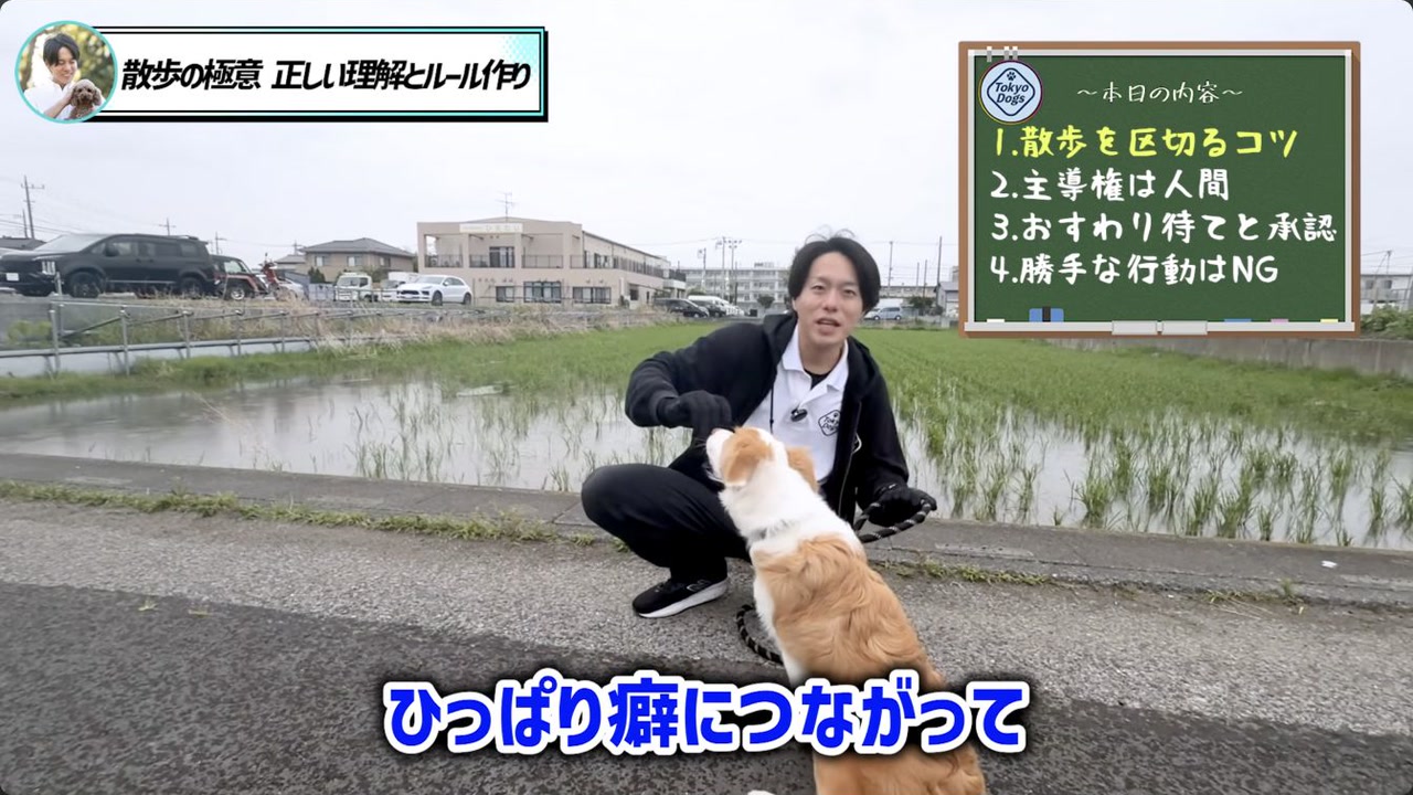 お座りと待てで散歩の区切りを伝える松尾
