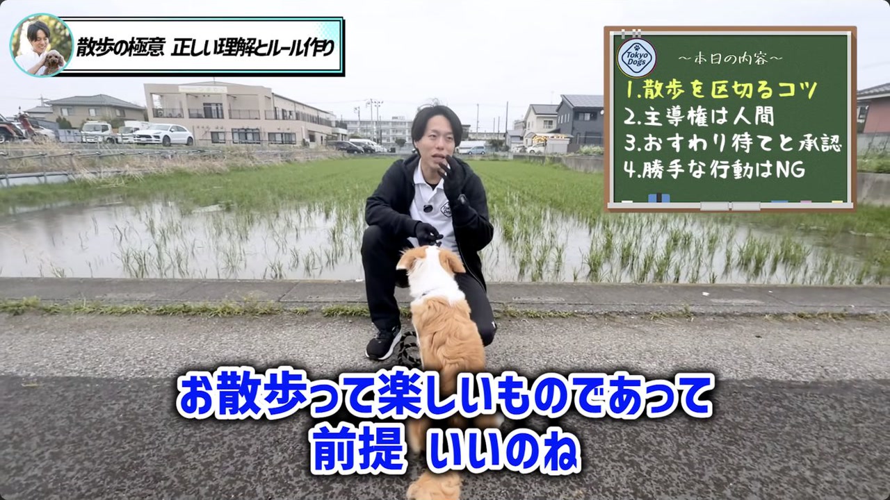 犬の匂い嗅ぎを散歩の大切な時間として説明する場面