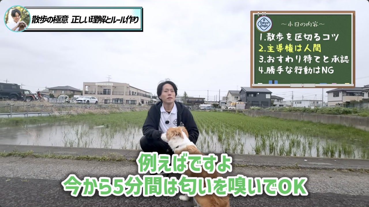 匂い嗅ぎから歩く時間へ戻る合図を説明する松尾
