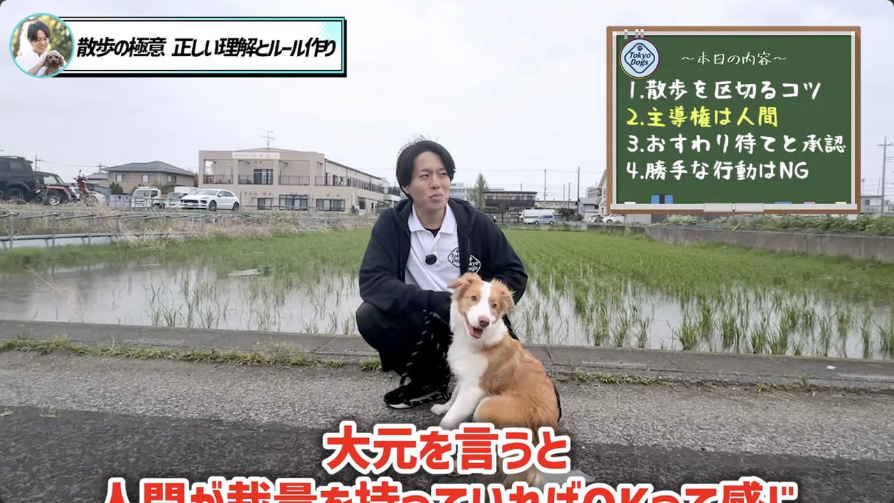 犬が安全に探索できる自由時間の範囲を説明する場面