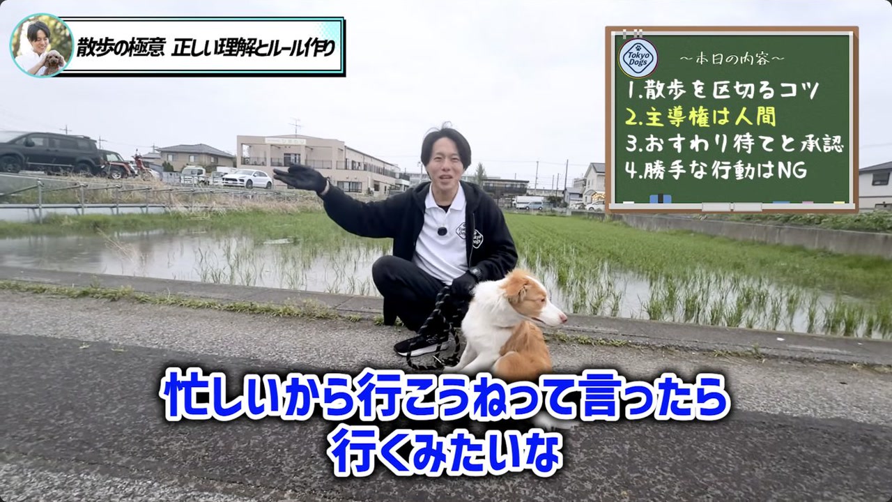 拾い食いを防ぐために散歩環境を確認する松尾