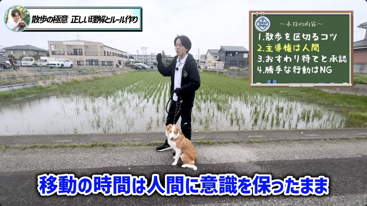 人や犬とすれ違う時の距離の取り方を実践する場面