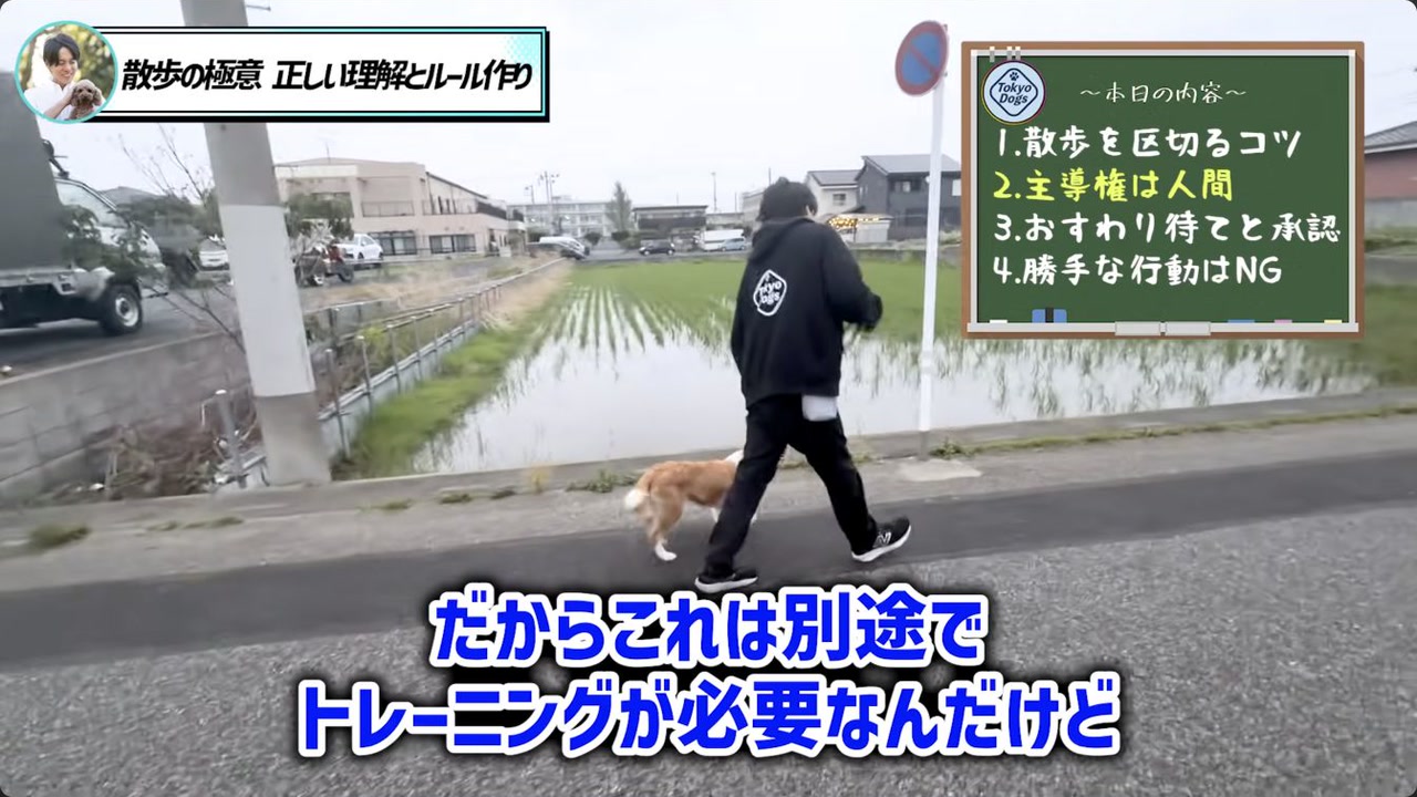 歩く休む戻るを一往復から練習する松尾