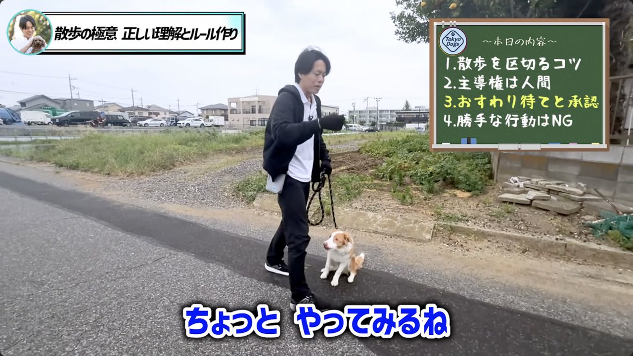 忙しい日の散歩で無理を増やさない工夫を話す松尾