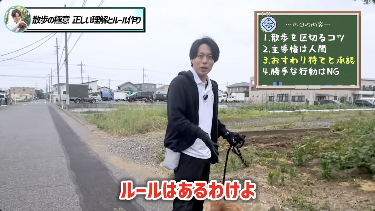 多頭飼いの散歩を一頭ずつ練習する考え方を説明する場面