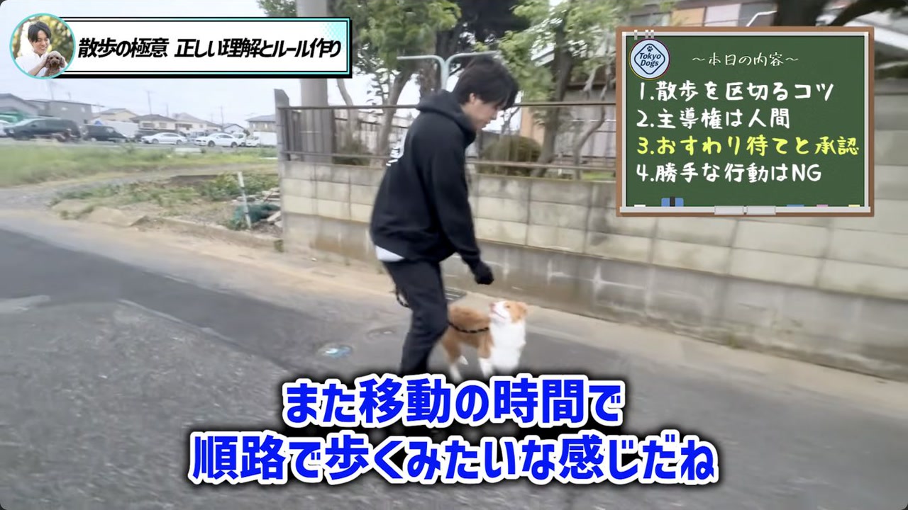 散歩マナーでよくある迷いに答える松尾