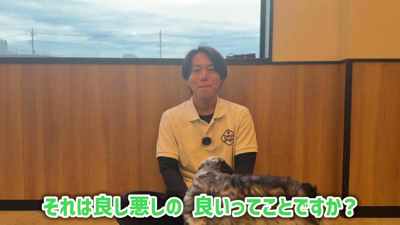 鳥猟犬としての背景と元気さを説明する松尾