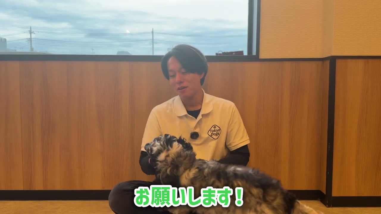 犬の自発性を生かしたトレーニングを説明する松尾