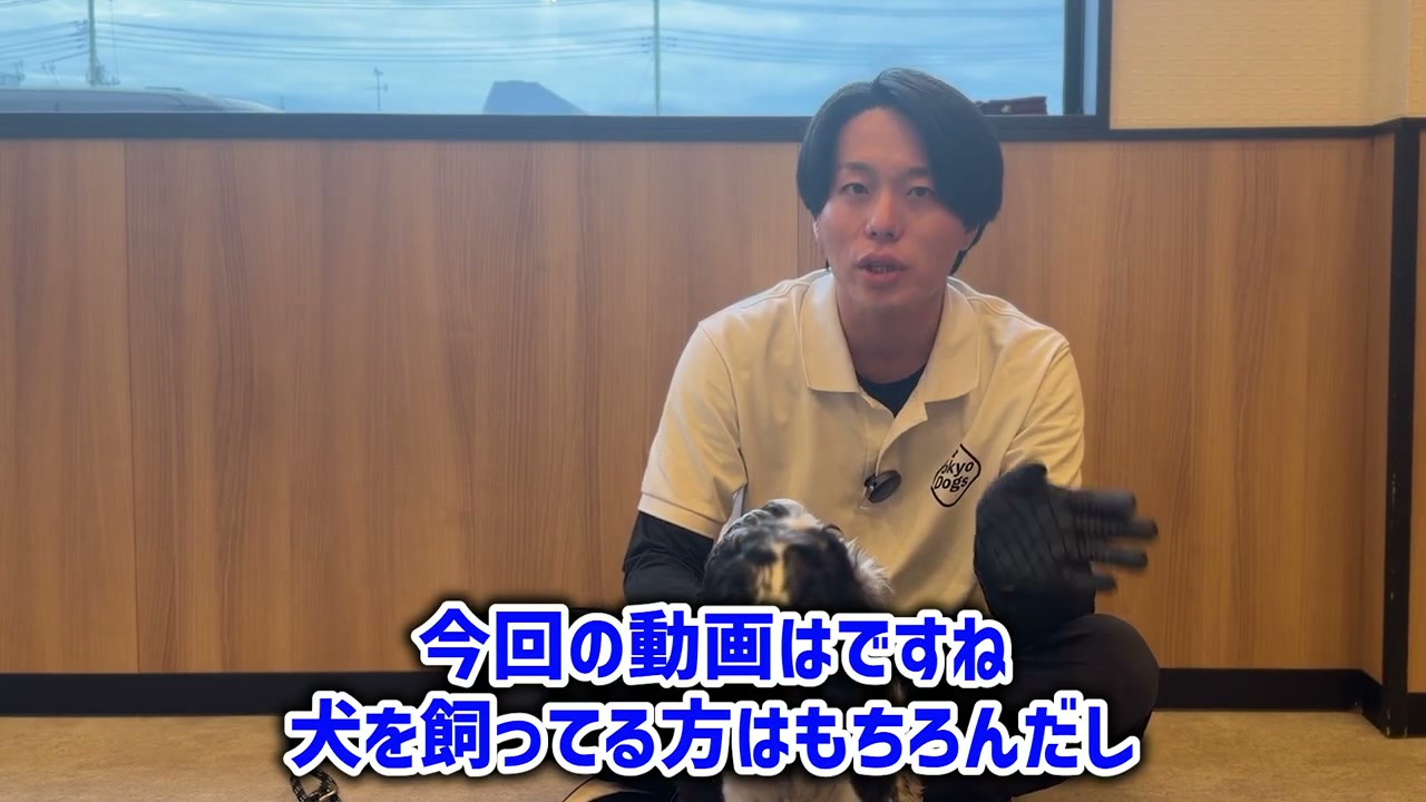 犬の運動量と休息のバランスを説明する松尾