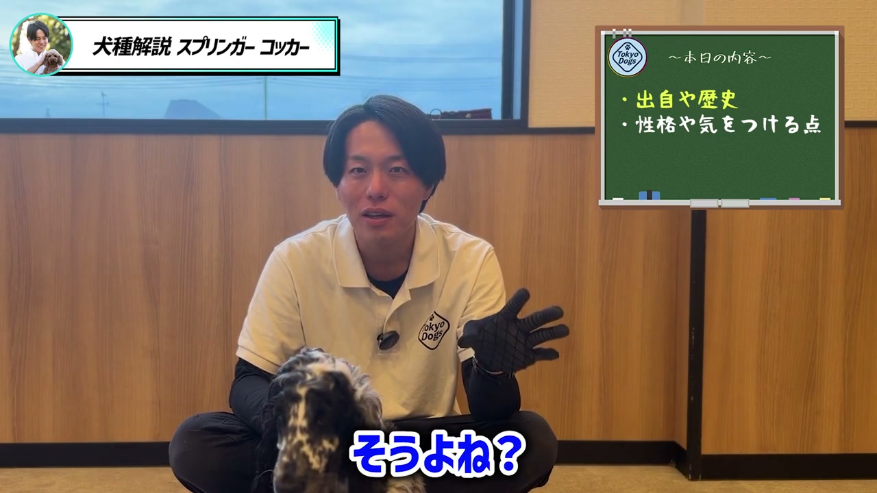 探索と散歩の引っ張りの関係を説明する松尾
