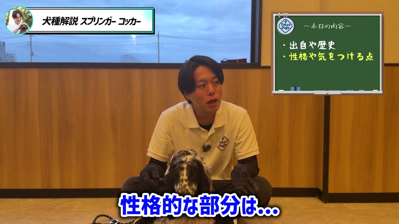 子どもや先住犬と暮らすときの休息場所を説明する松尾