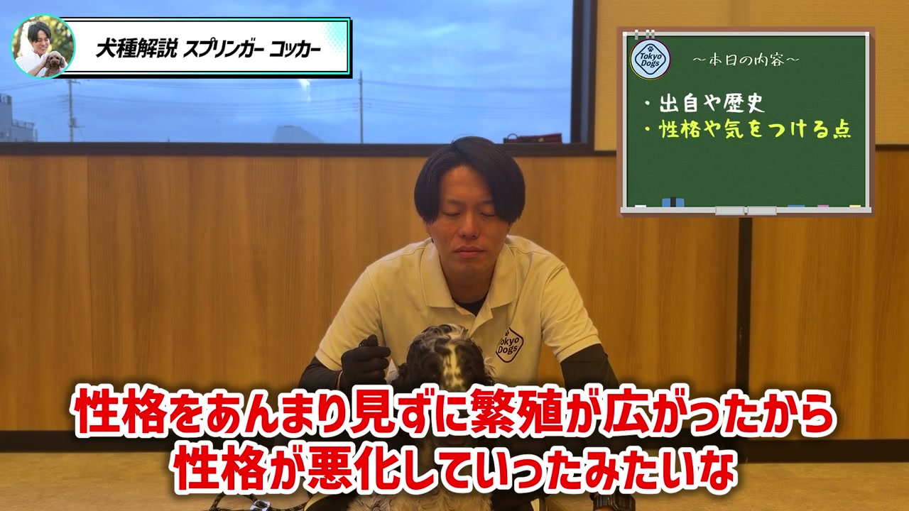 コッカースパニエルを迎える前の確認事項を話す松尾