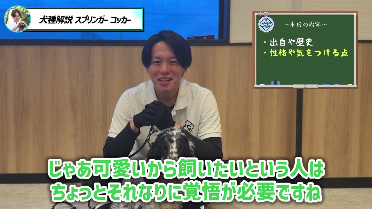 犬の活動と休息を含む一日の暮らし方を説明する松尾