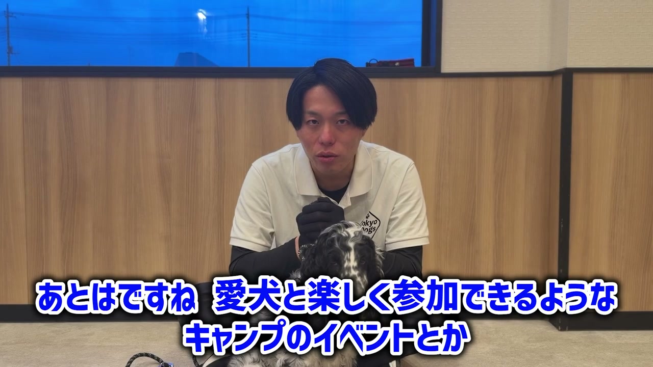 コッカースパニエルとの暮らしを穏やかにまとめる松尾