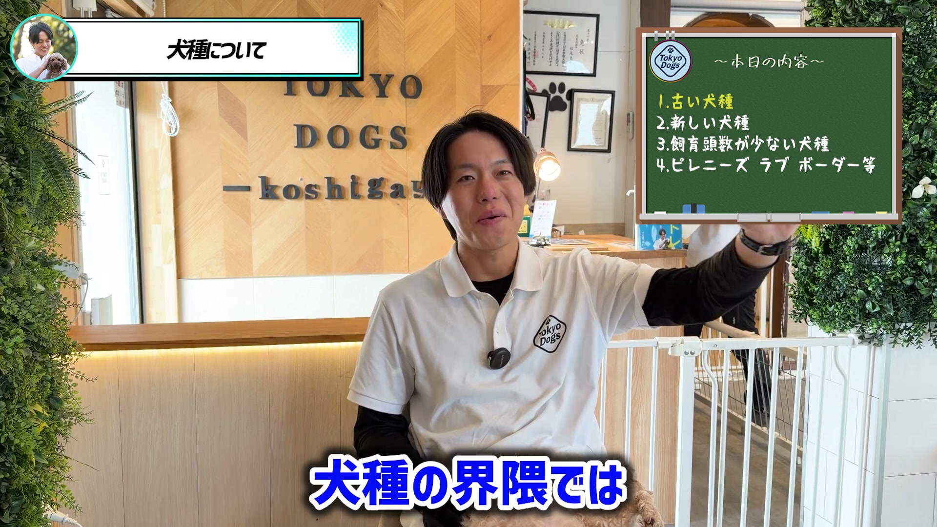 犬種についての対話を進める松尾邑仁