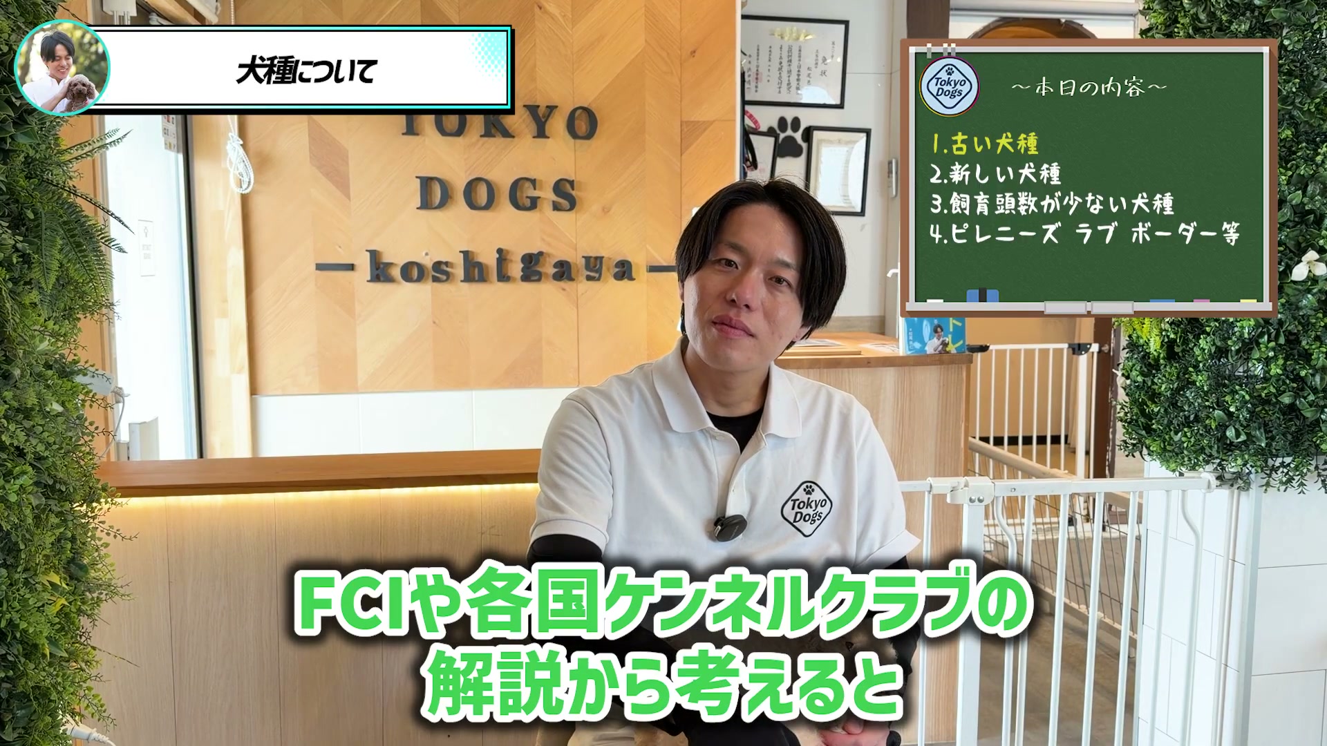 ケネルクラブの犬種分類について話す一つの場面