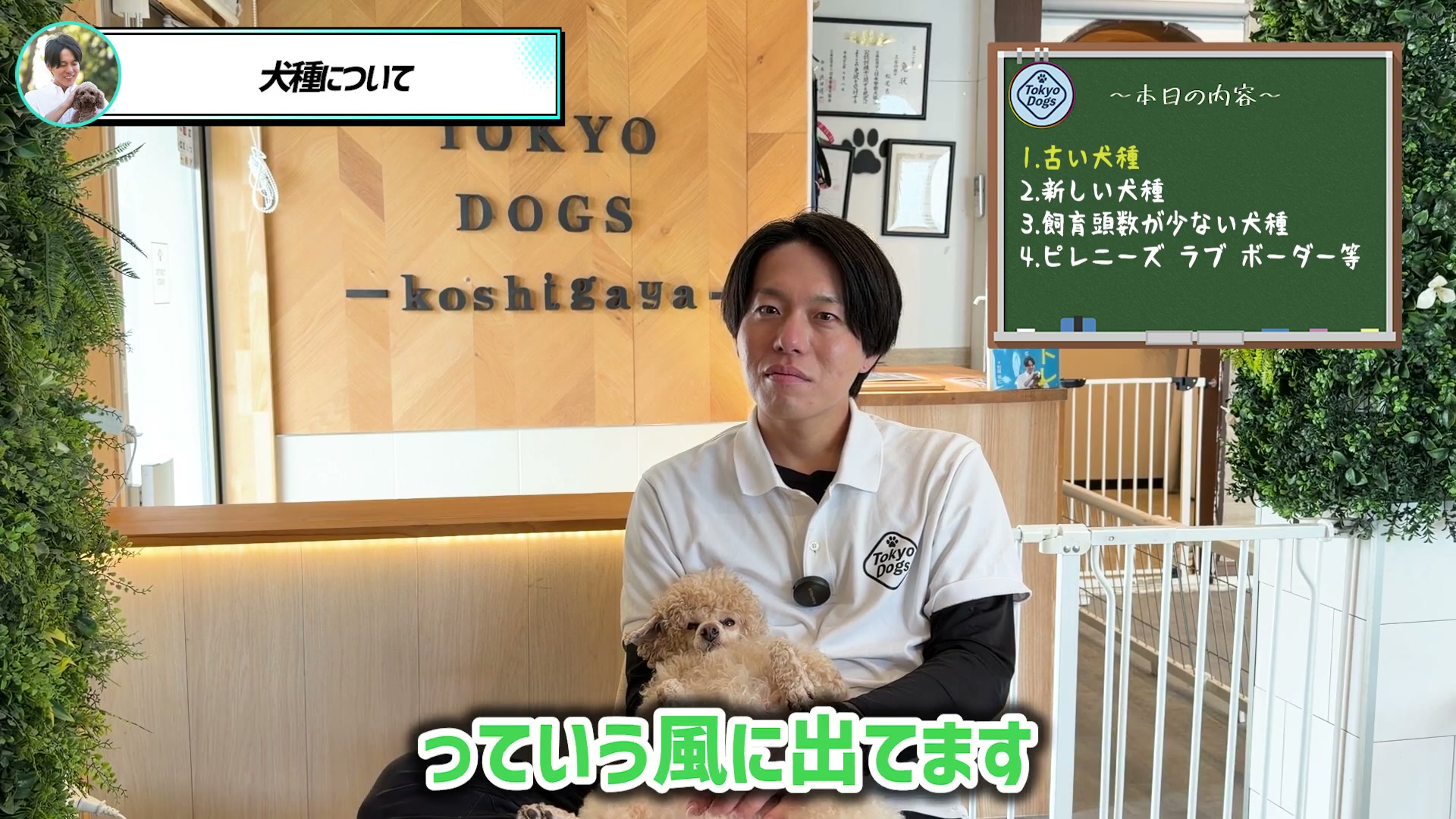 愛犬を抱いて犬種の話を聞く松尾邑仁