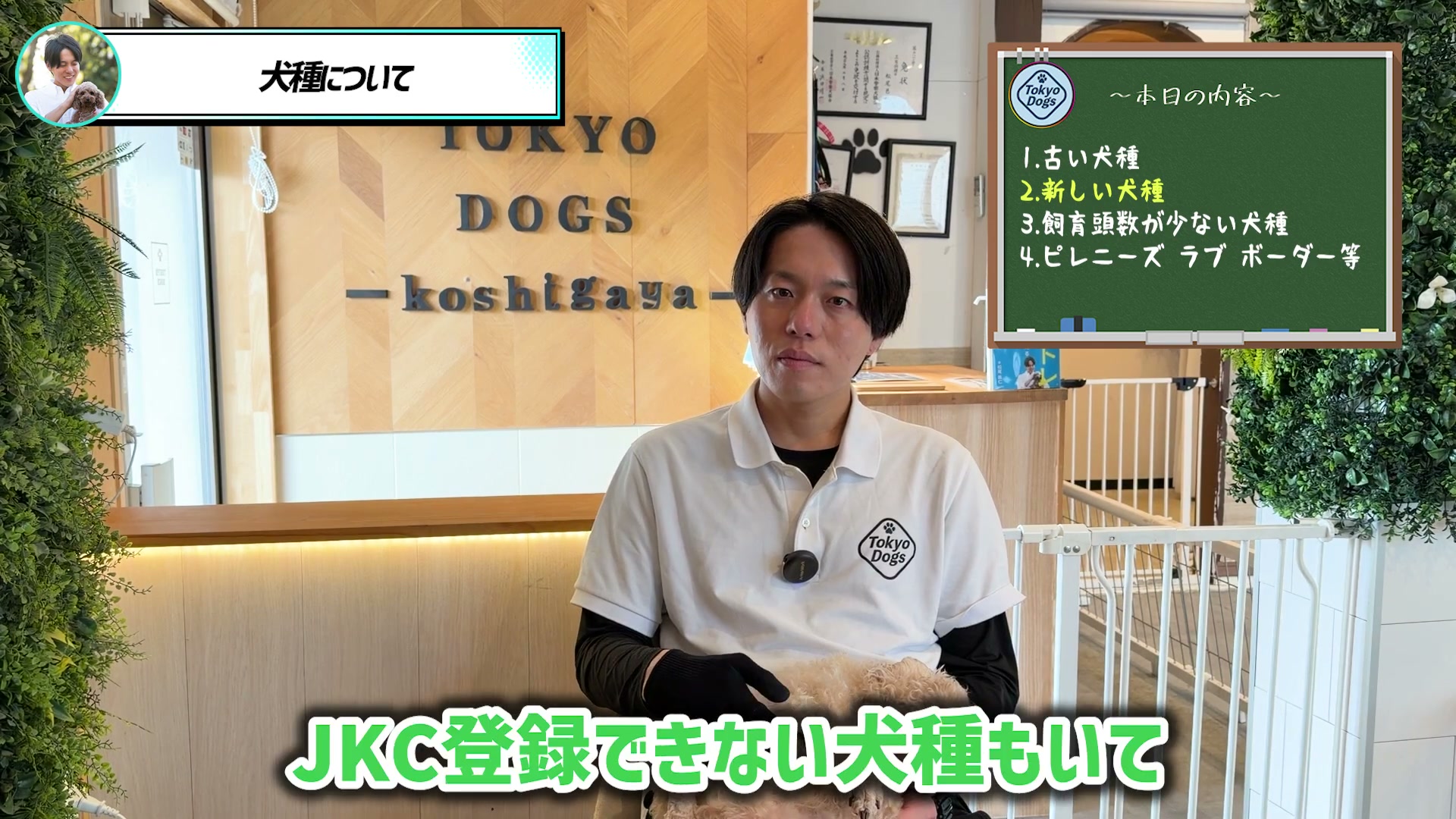 犬種登録と分類について対話する一つの場面