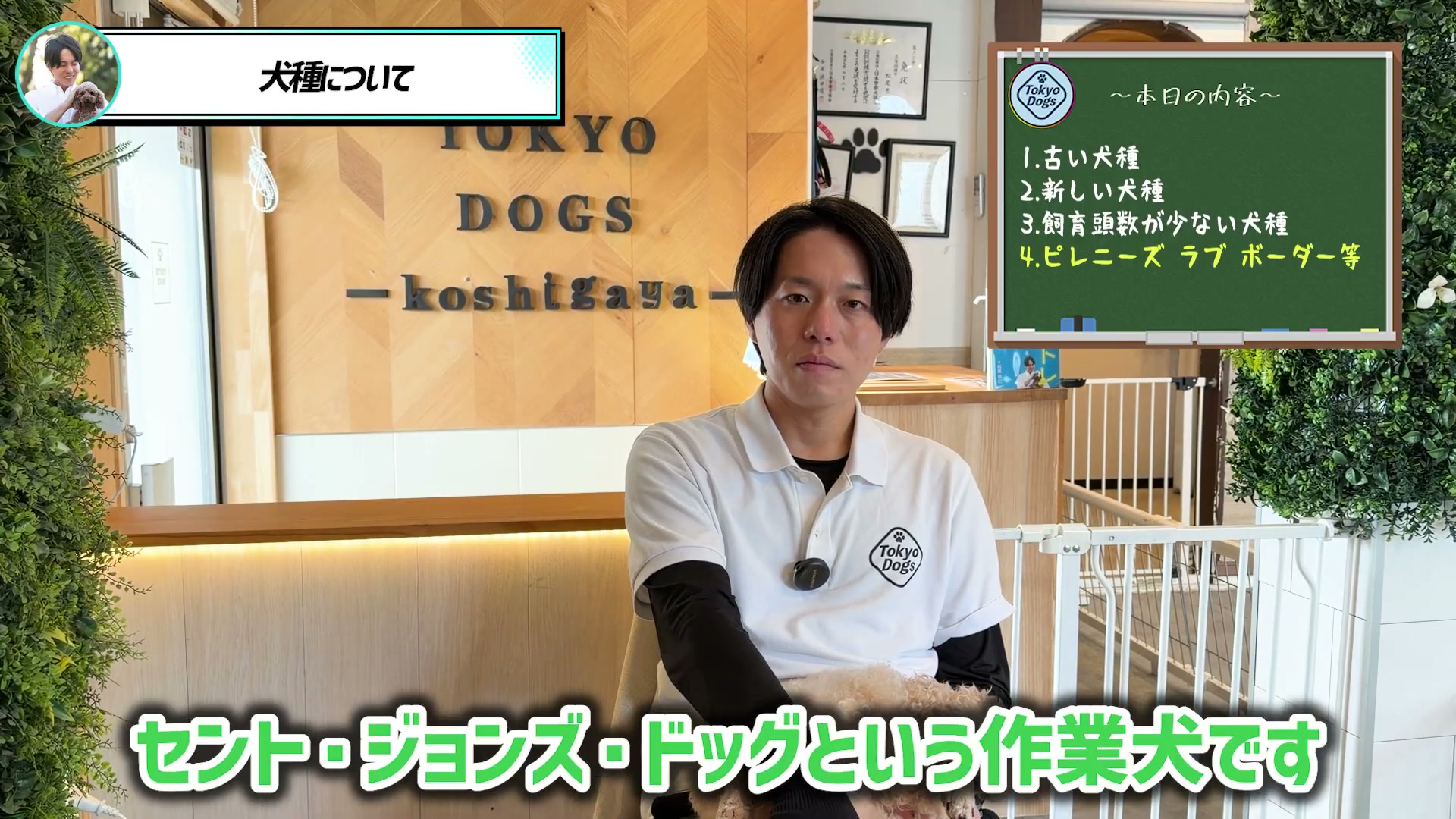 ラブラドールの背景に触れる一つの場面