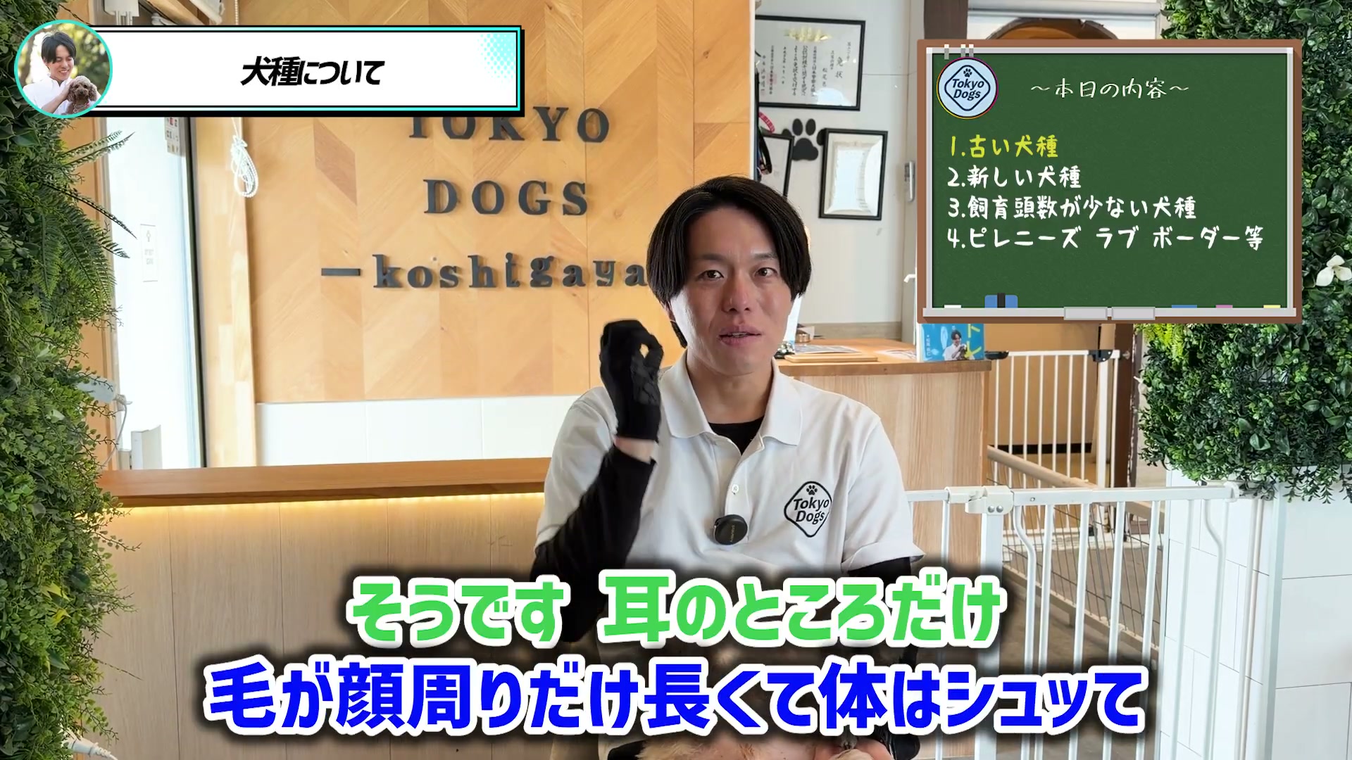 被毛の特徴について身ぶりを交えて話す松尾邑仁