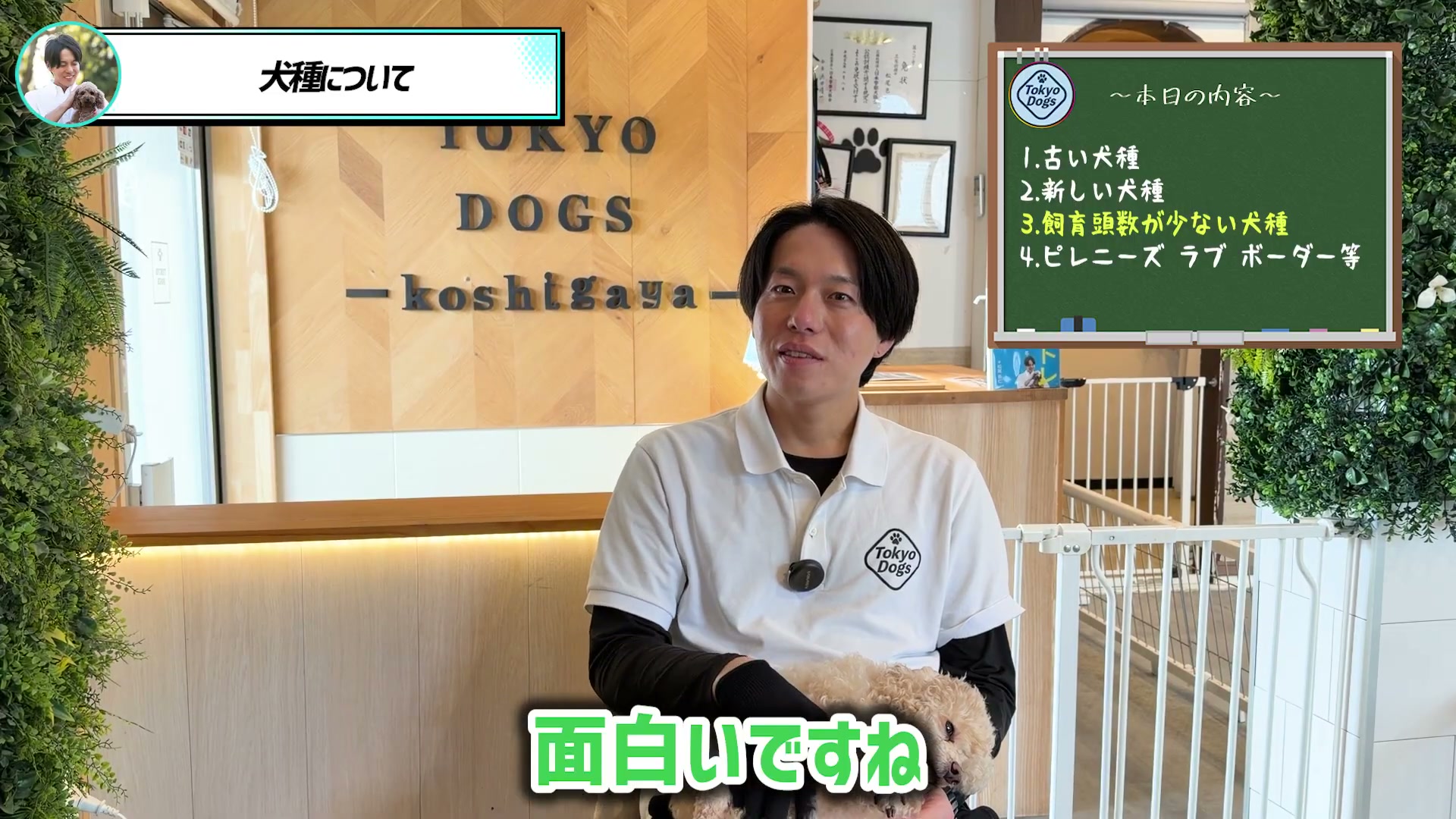 犬種の対話に耳を傾ける松尾邑仁