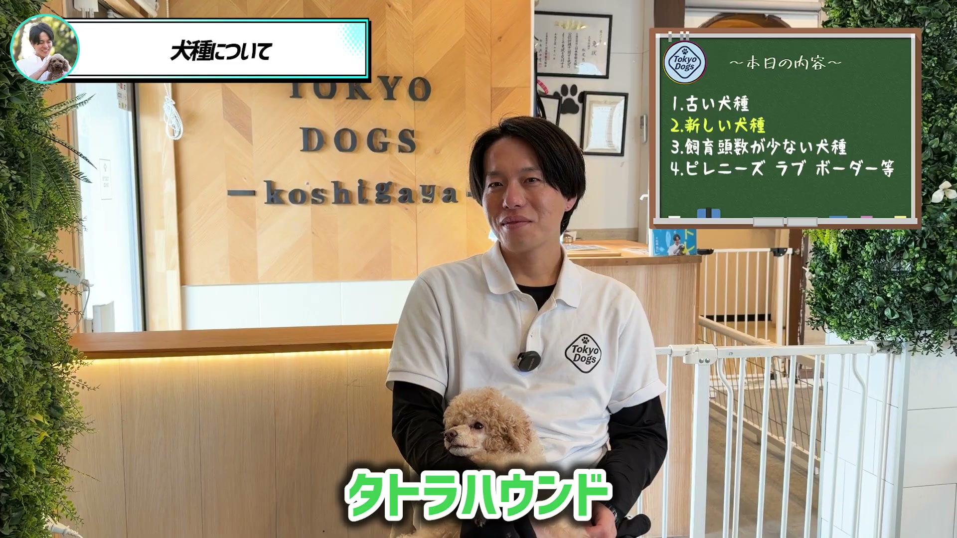 犬種名を紹介する対話の一場面