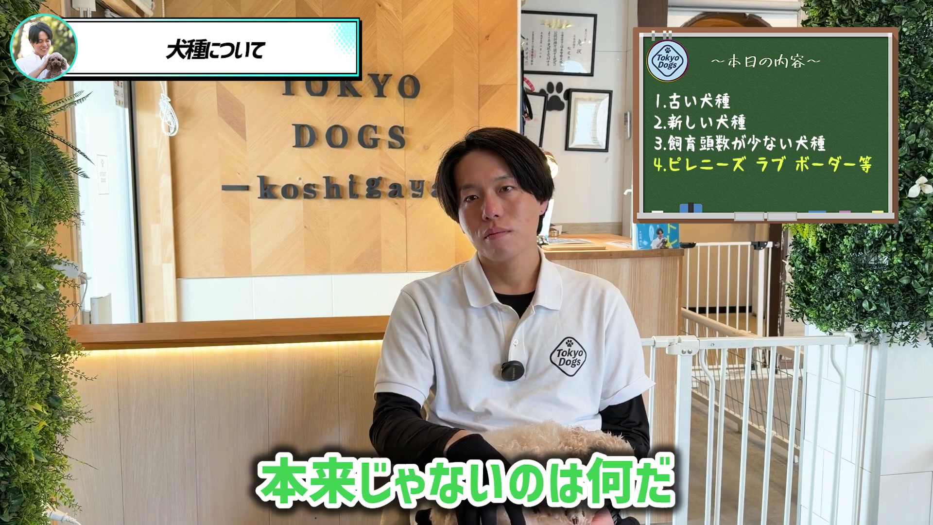 犬種ごとの役割について対話する松尾邑仁