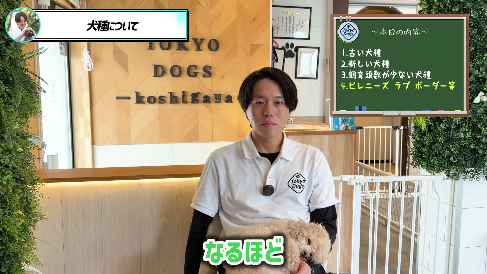 愛犬を抱きながら犬種の話を聞く松尾邑仁
