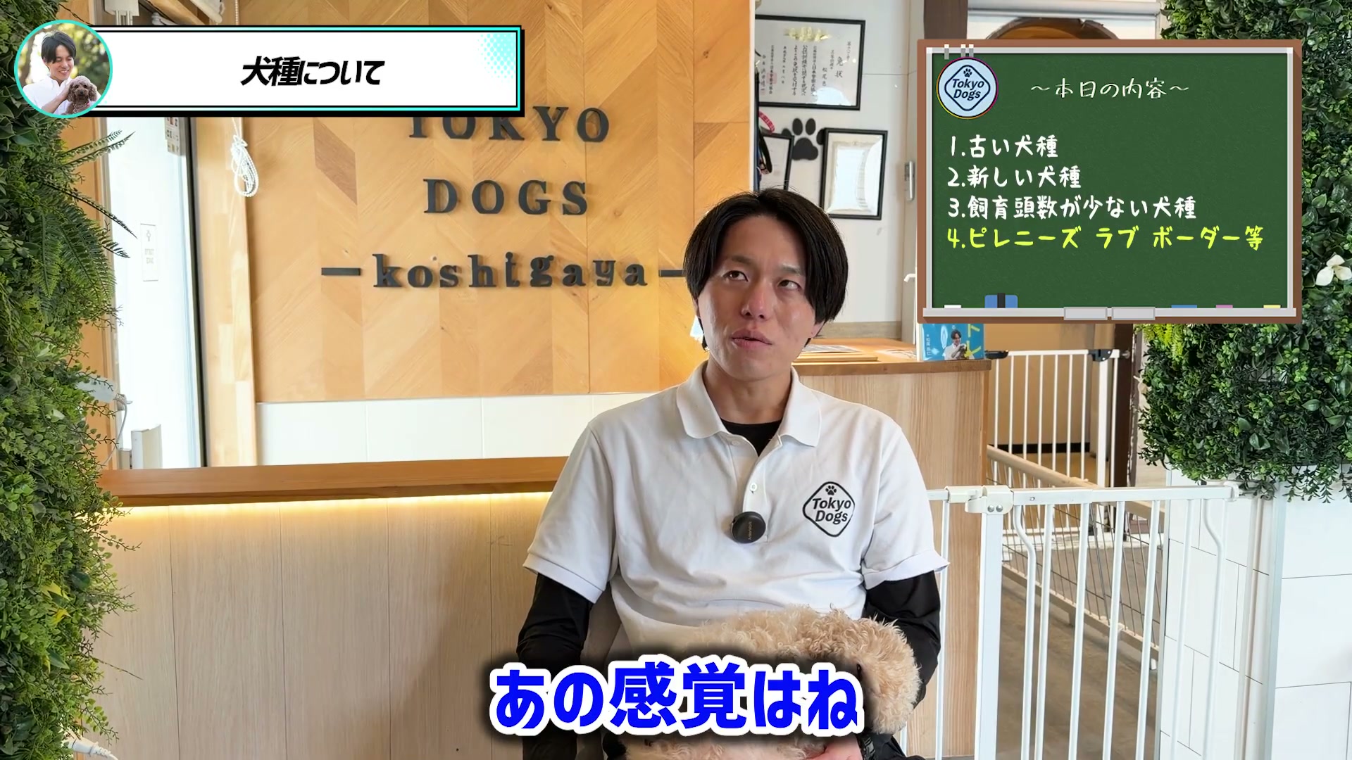犬の行動について対話する一つの場面