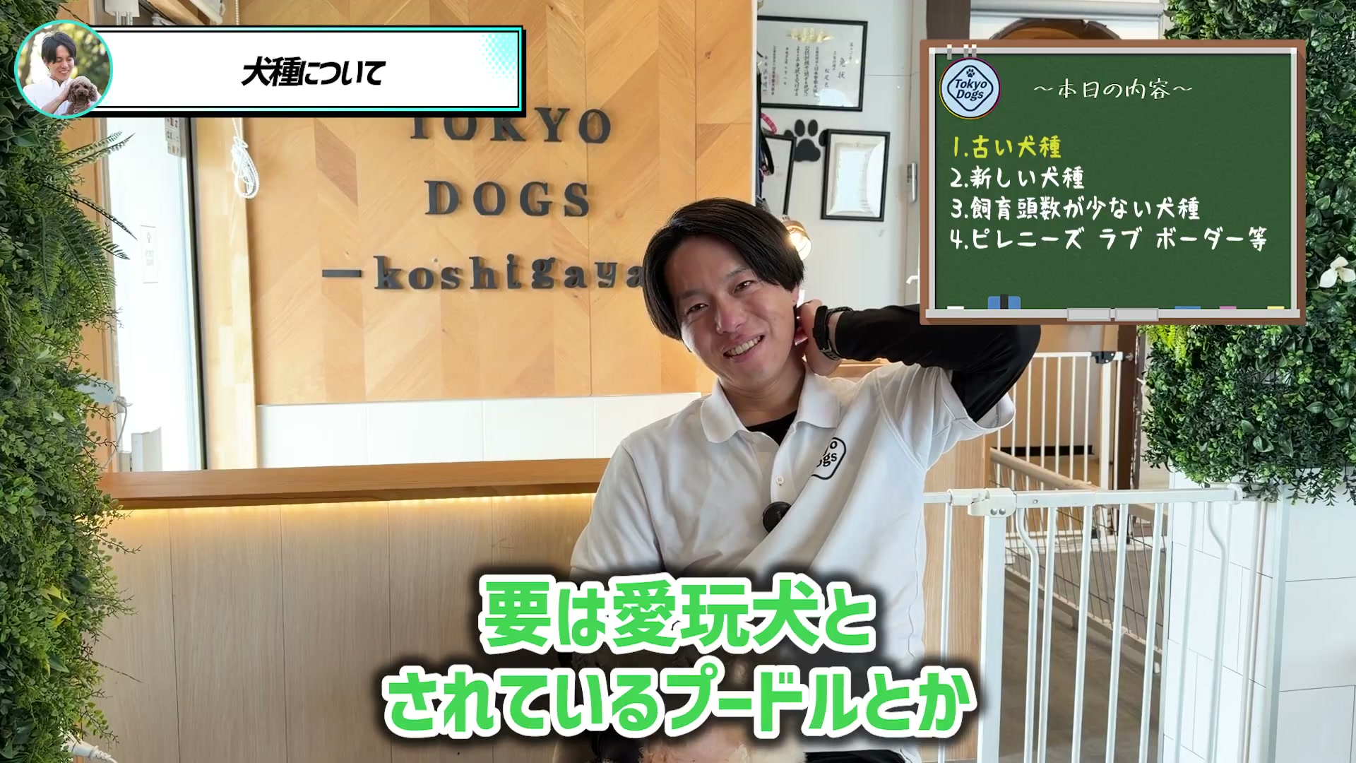 プードルの位置づけについて話す松尾邑仁