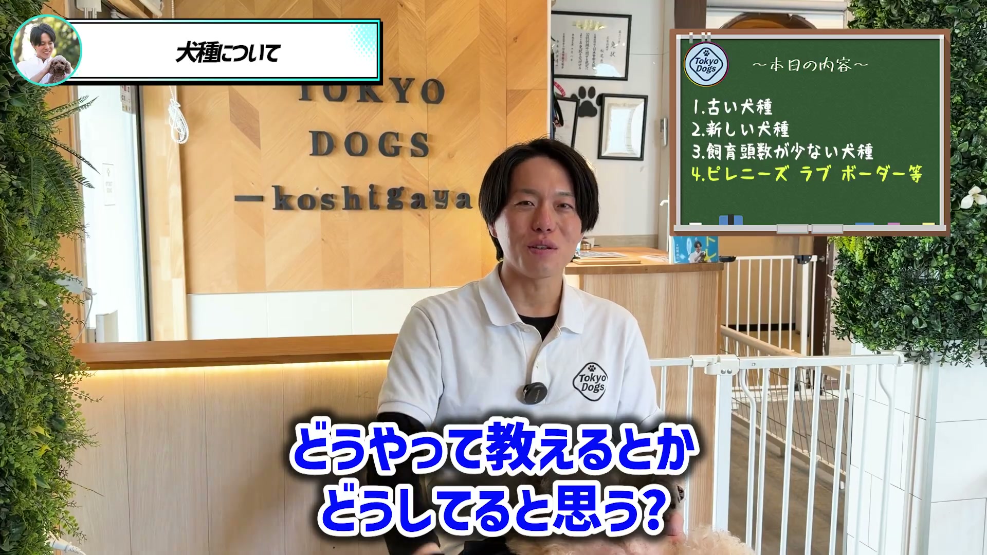 犬が仕事を学ぶことについて問いかける松尾邑仁