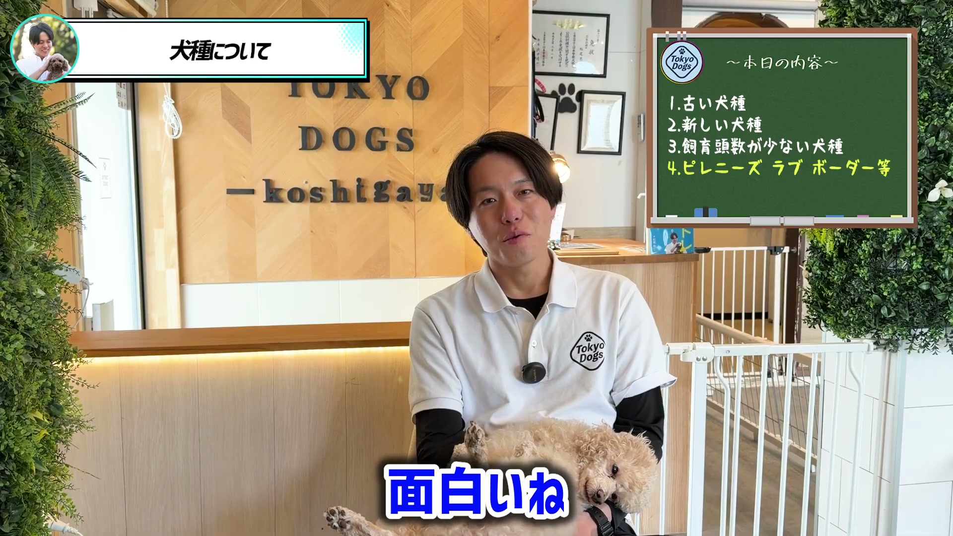 愛犬を抱いて犬種の話を振り返る松尾邑仁