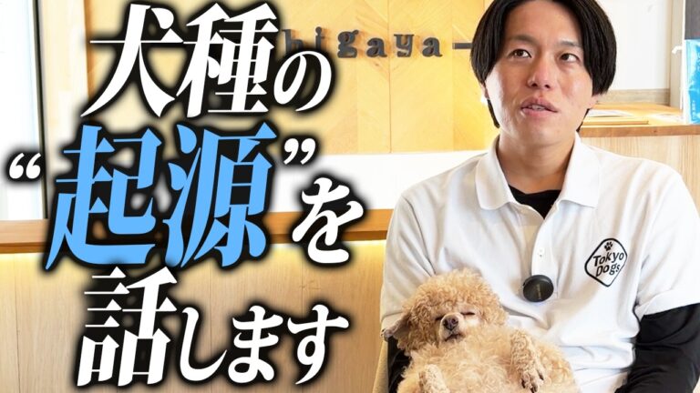 犬種の選び方完全ガイド｜性格・運動量・迎え先・多頭飼いまで