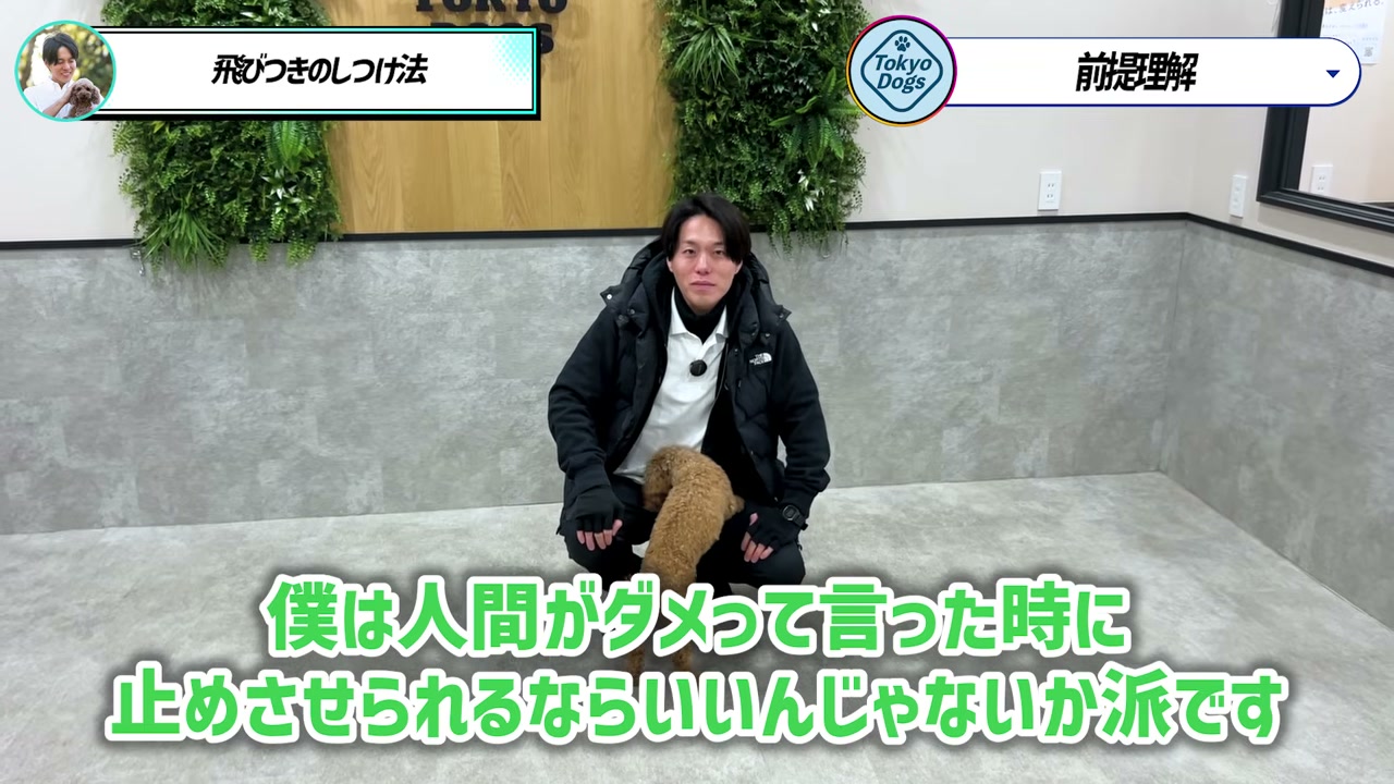 犬が人へ近づく意味を考える場面