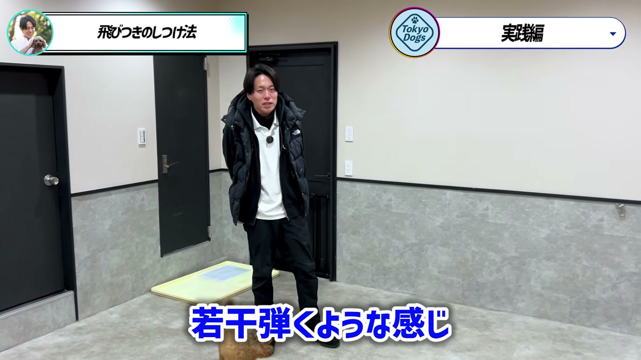 実践前に犬が飛びつきにくい位置を作る場面
