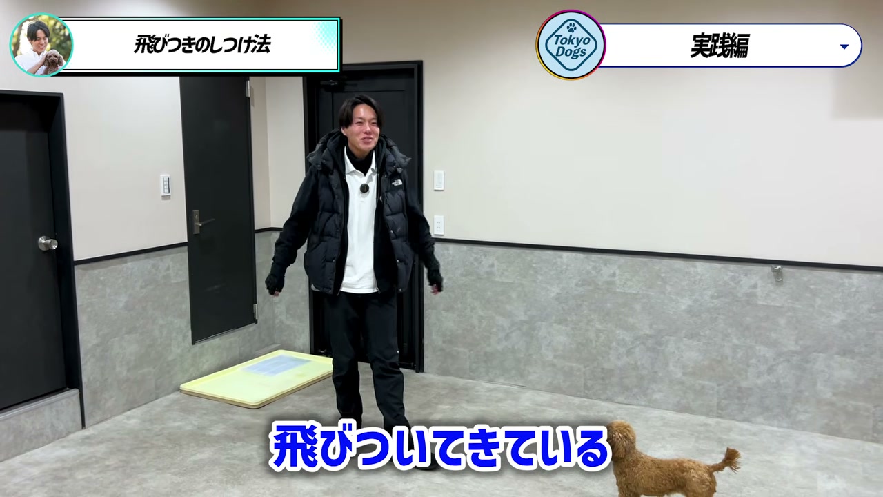 お座りを飛びつきの代わりに使う考え方を示す場面