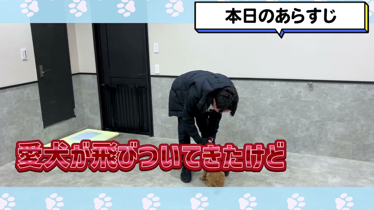 落ち着いている犬をゆっくり褒める場面
