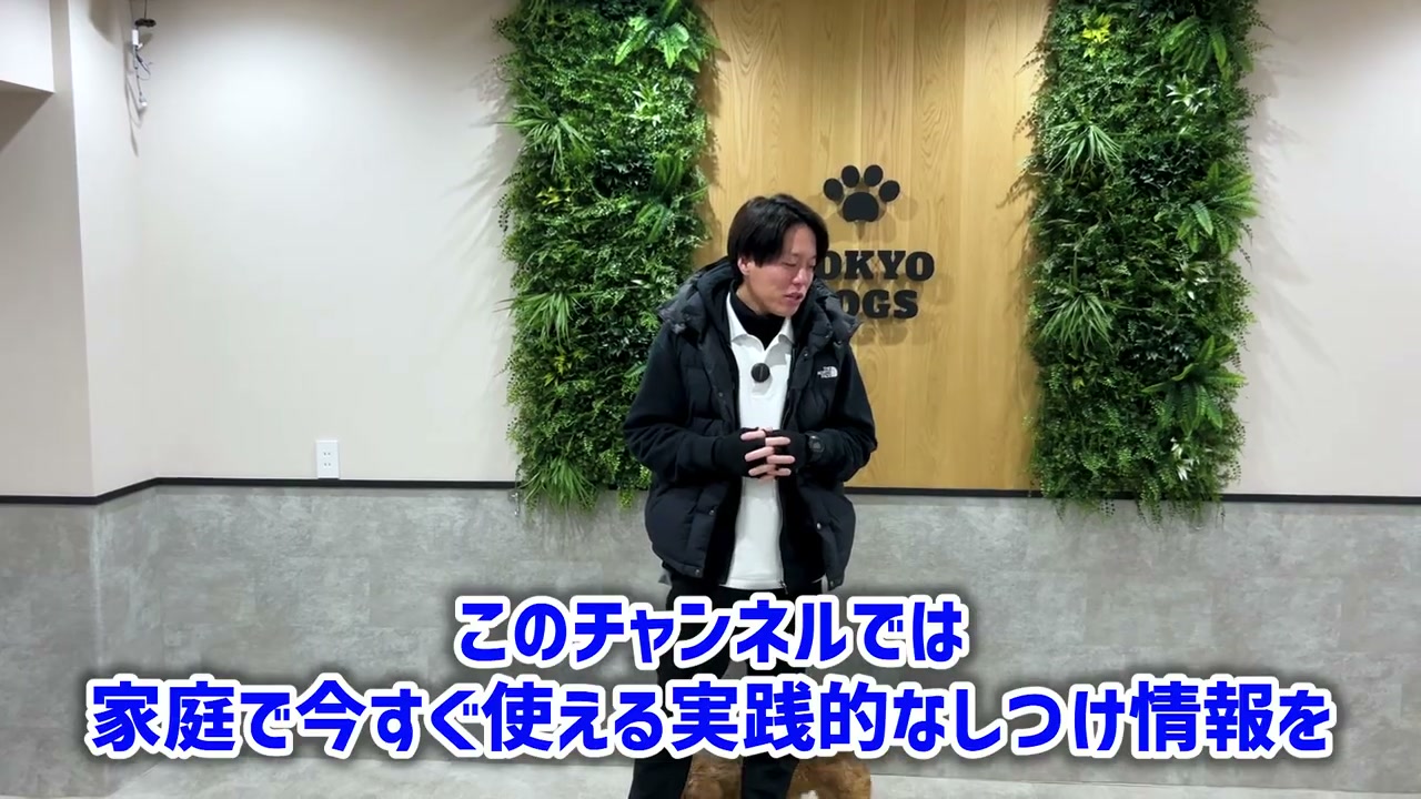 飛びついた後の対応だけでは足りないと説明する場面