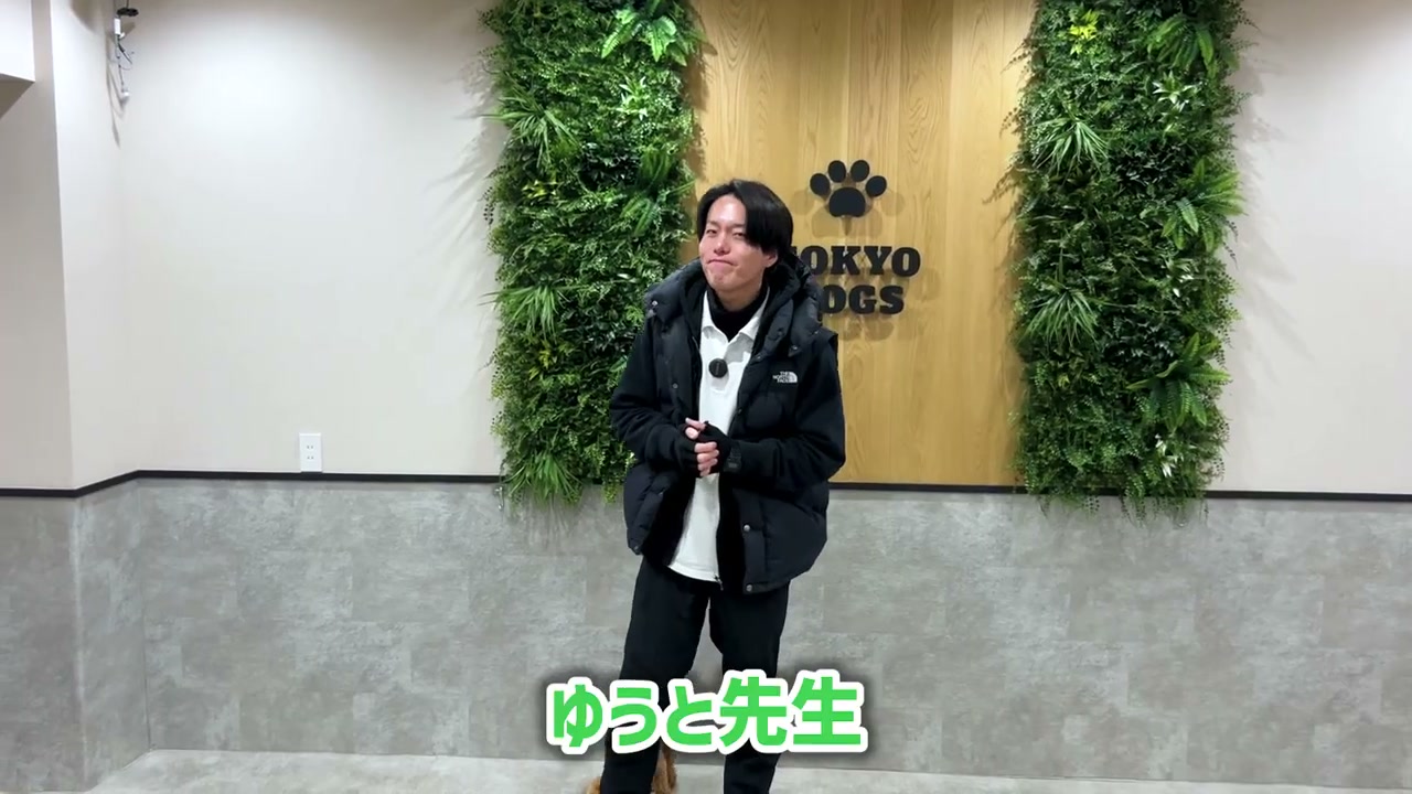 飛びつきのしつけでよくある疑問へ答える場面