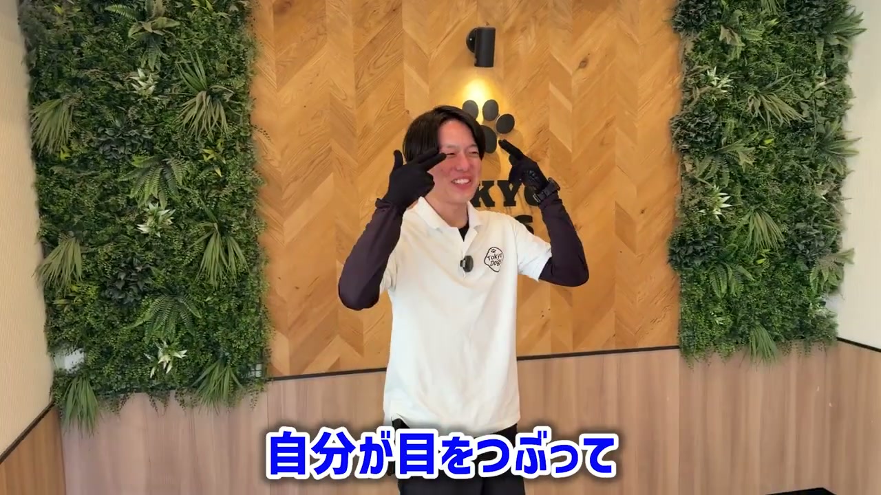 松尾邑仁が目元を指して犬種当て企画の導入を説明する場面