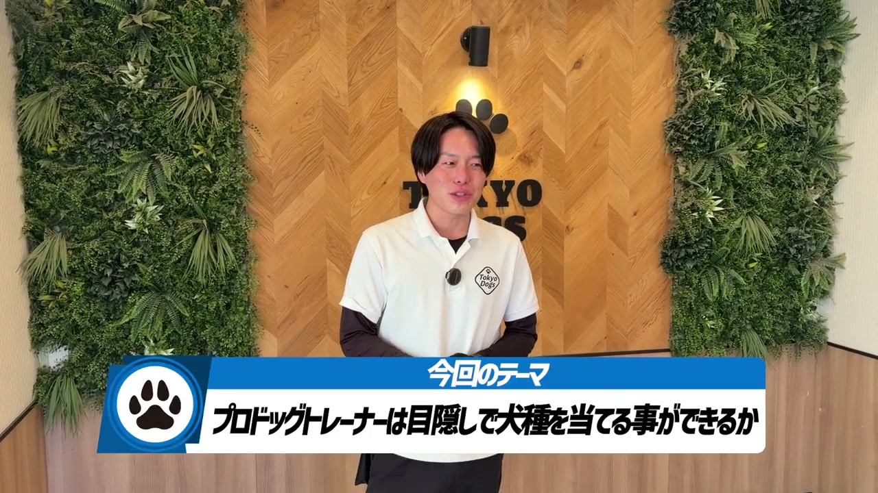 松尾邑仁が「目隠しで犬種を当てられるか」という企画を紹介する場面