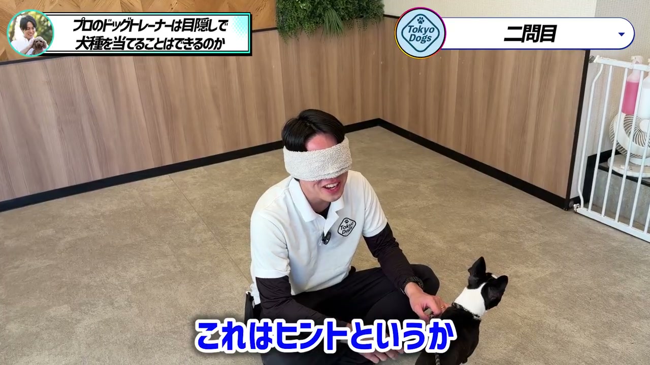 松尾邑仁が黒白の犬の体格と顔つきを触れて確かめる場面