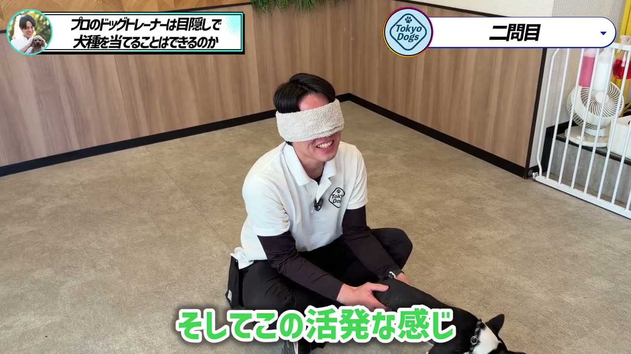 松尾邑仁が黒白の犬に触れ「この活発な感じ」と動きを捉える場面