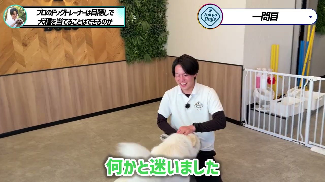 松尾邑仁が白い犬と向き合い個体の特徴を振り返る場面