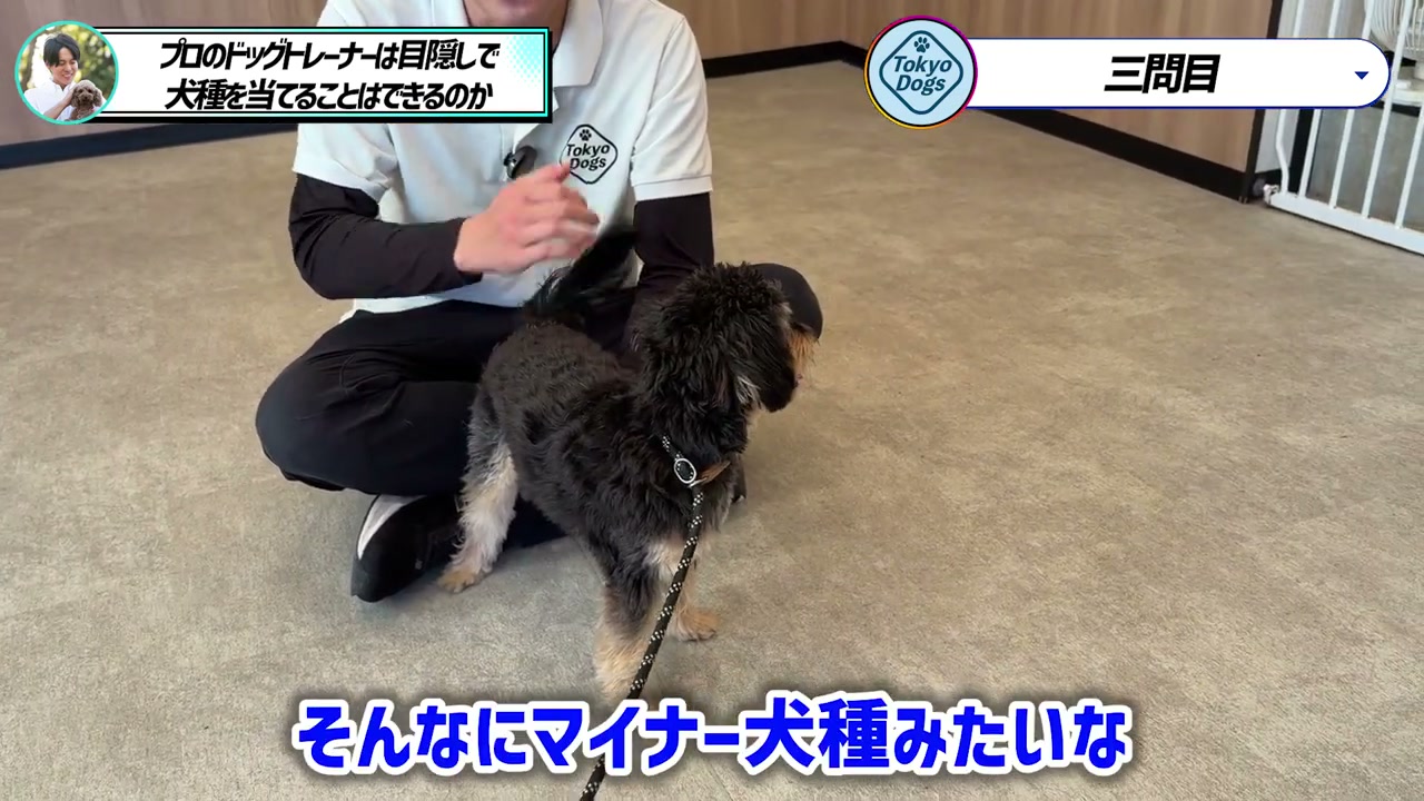松尾邑仁が黒い巻き毛の犬の体つきを確かめる場面
