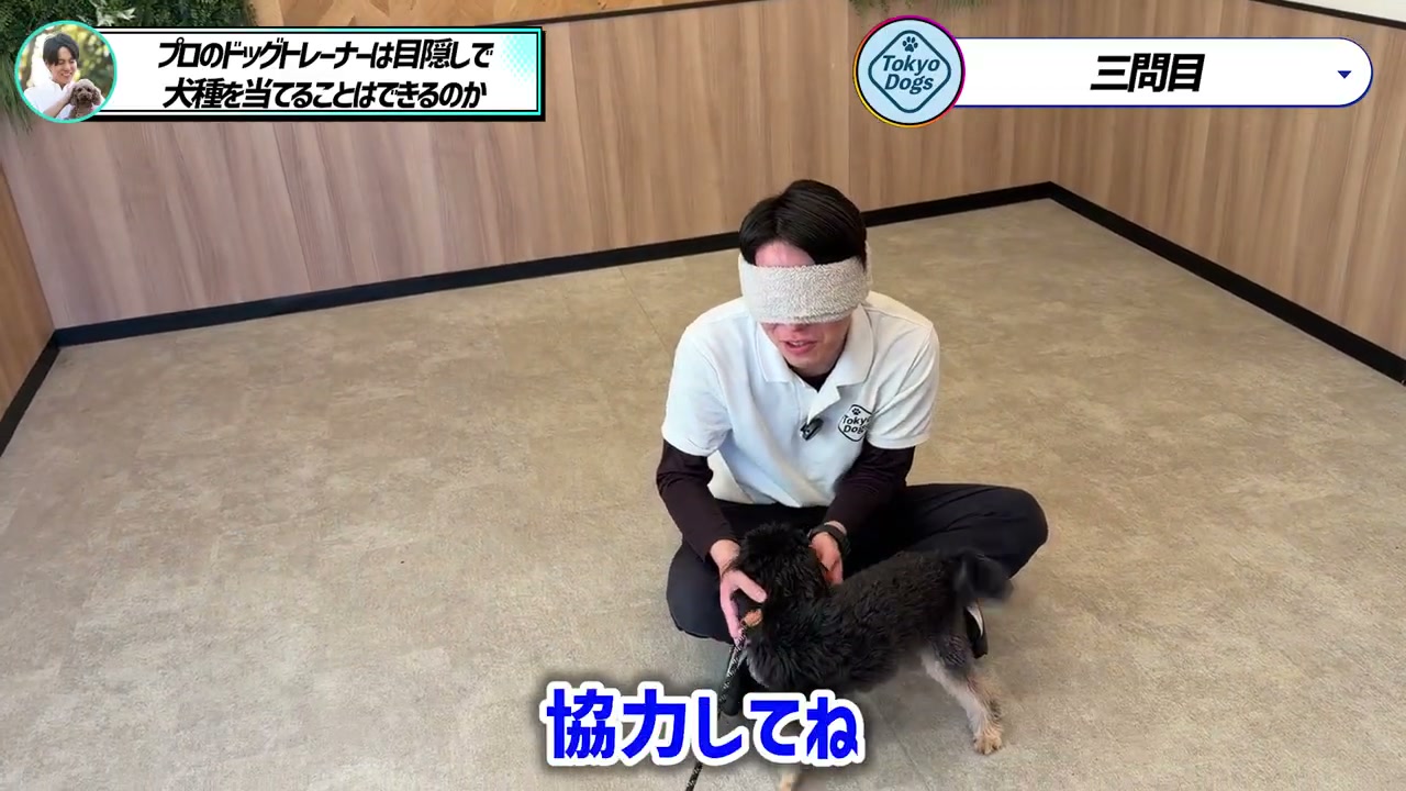松尾邑仁が黒い巻き毛の犬へ協力を呼びかけながら触れる場面
