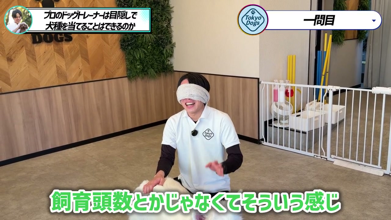 松尾邑仁が白い犬に触れ、飼育頭数だけではない判断材料を考える場面