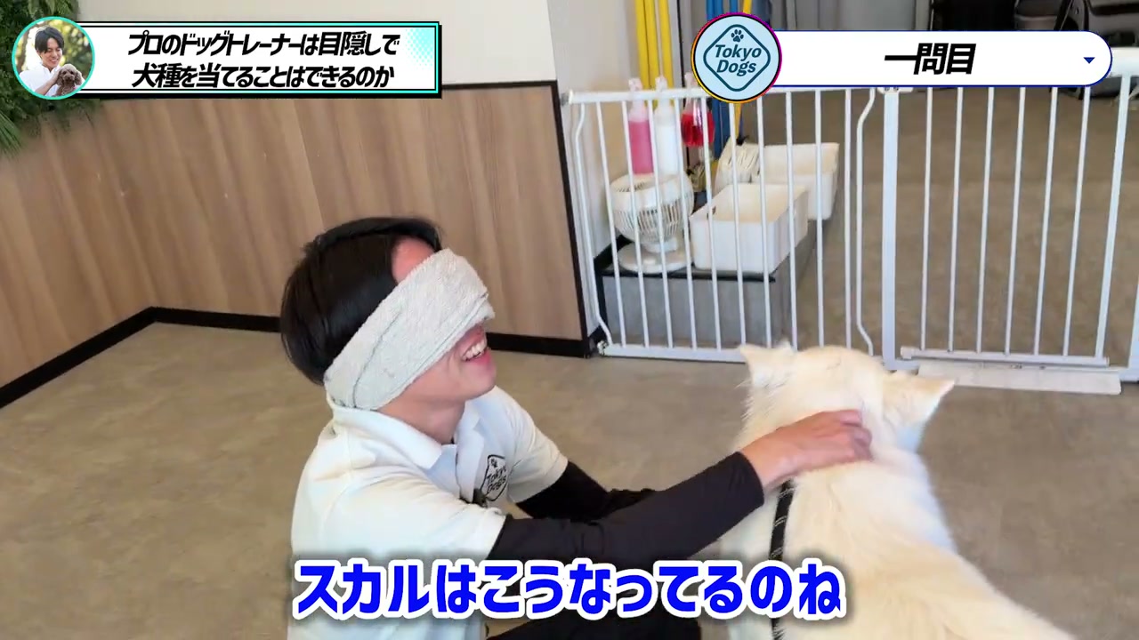 松尾邑仁が白い成犬の頭部と被毛へやさしく触れる場面